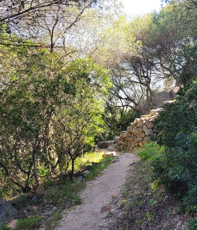 Olbia Sardinië historische bezienswaardigheden