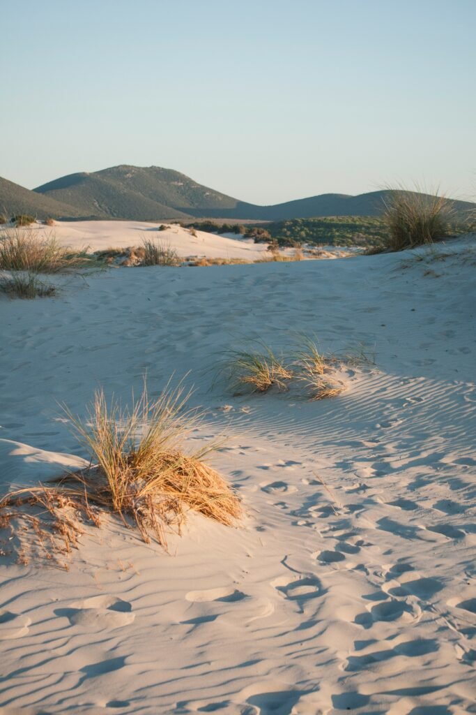 Mooiste stranden van Sardinië top 10