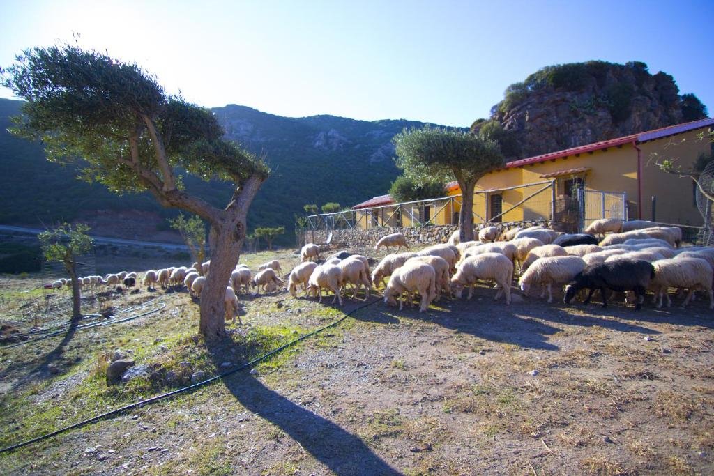 Agriturismo goedkoop overnachten Sardinië Cagliari