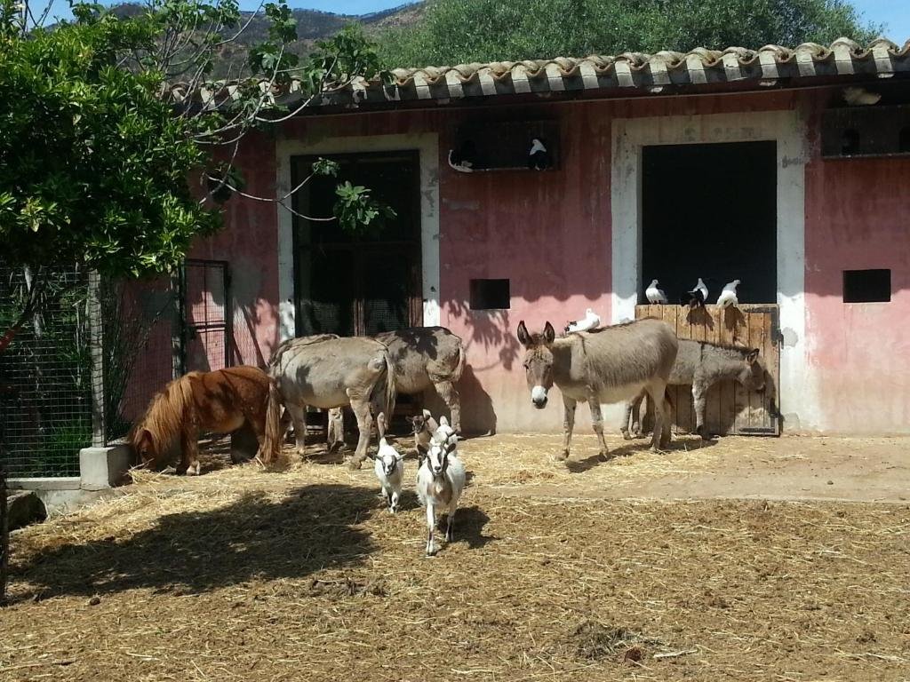 Logeren bij de boer Sardinië