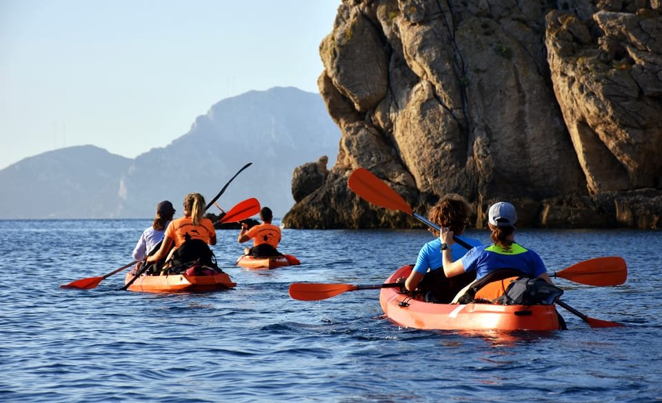 Dolfijnen tour kajakken sardinië Dolfijnen tour kajakken sardinië