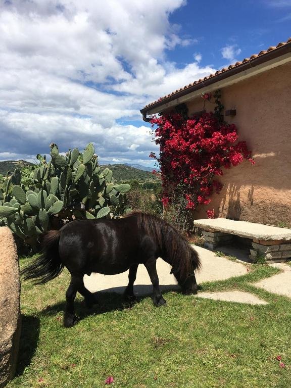 agriturismo kinderen dieren Sardinië