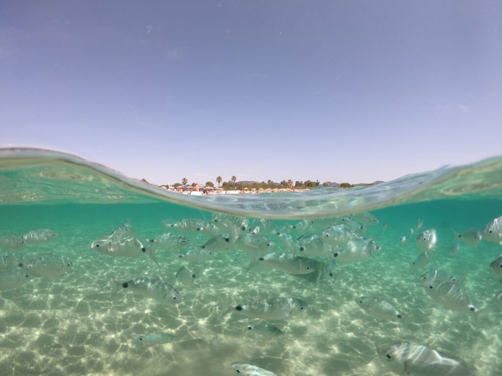 Snorkelen Zuid Sardinië verschil Noord Sardinië Capo Carbonara