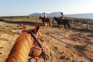 Paardrijden op Sardinië | Leuke activiteit voor paardenliefhebbers