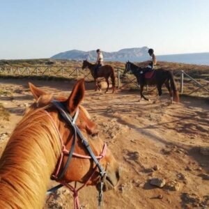 Paardrijden op Sardinië | Leuke activiteit voor paardenliefhebbers