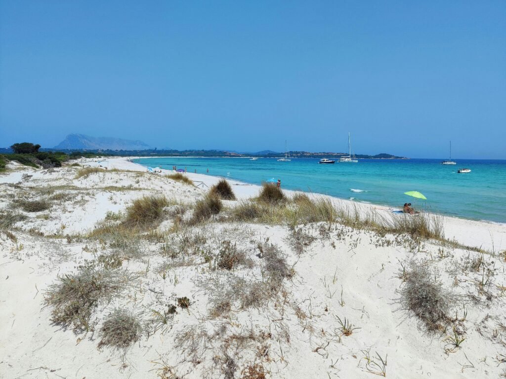 Cala Brandinchi Cala Brandinchi