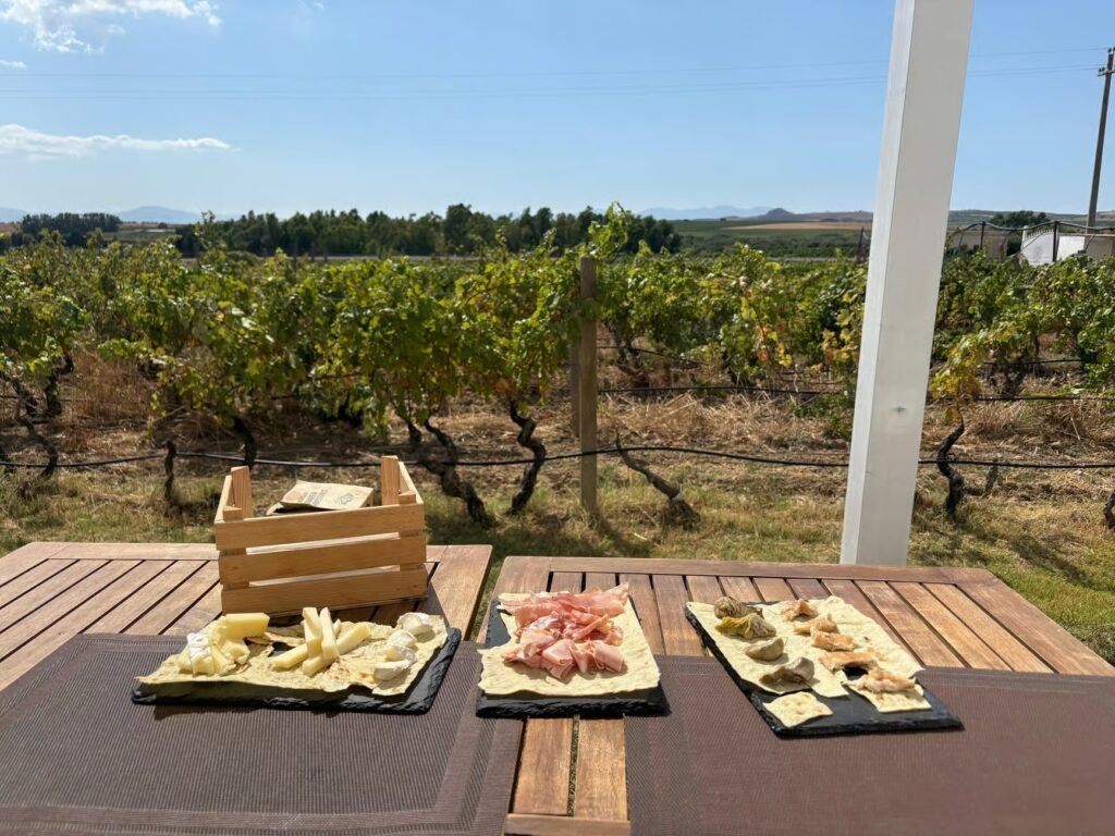 Wijnproeverij doen zuid sardinië