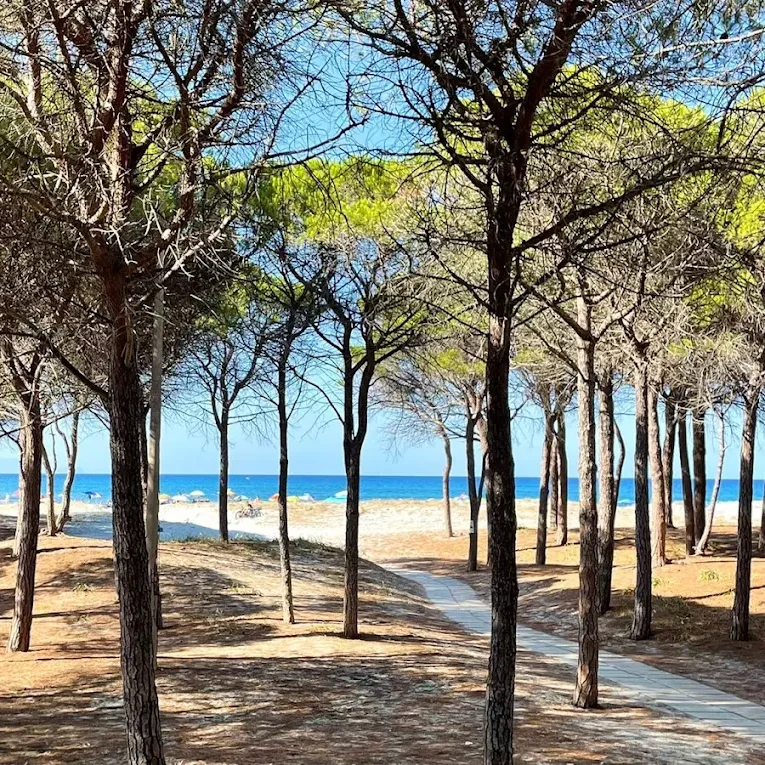 Camping oostkust Sardinië Camping oostkust Sardinië