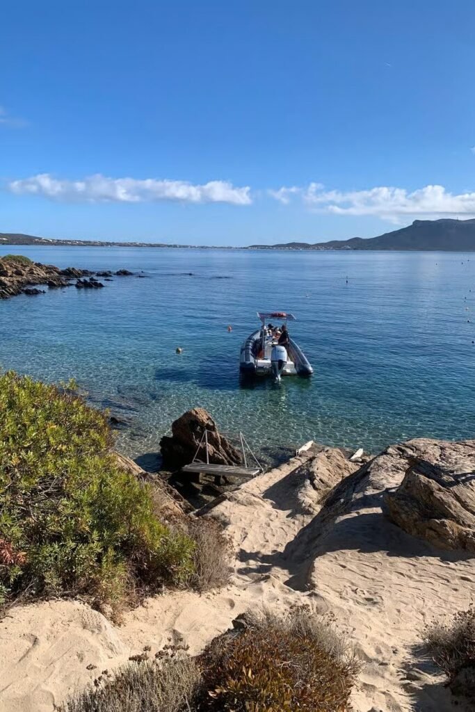 Tour Sardinië dolfijnen Golfo Aranci