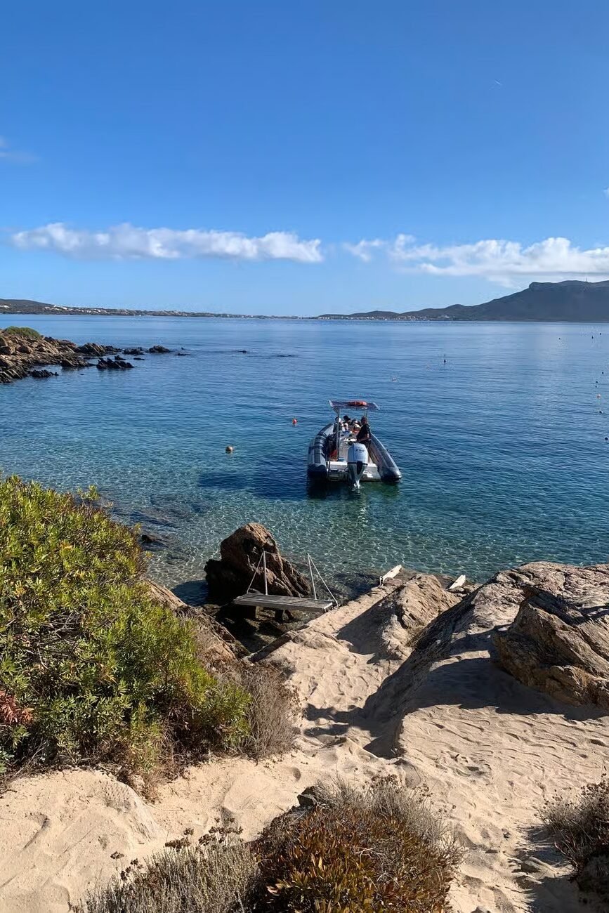 Tour Sardinië dolfijnen