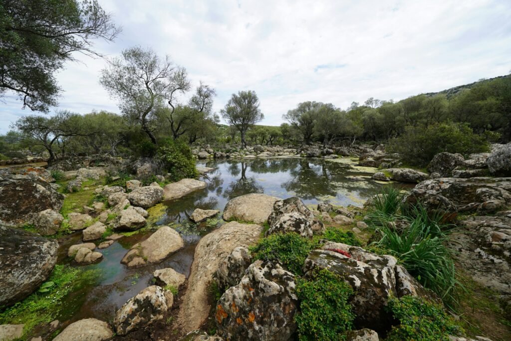 Golgo Baunei natuur Sardinië