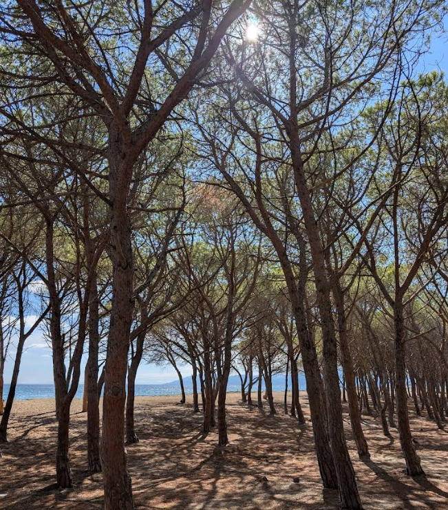 Strand Sardinië oosten