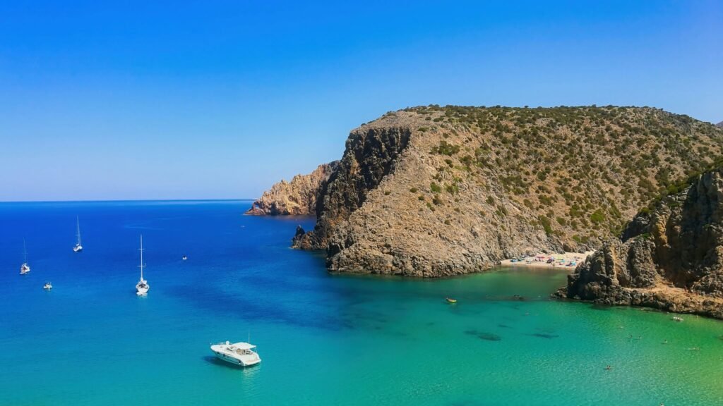 cala domestica